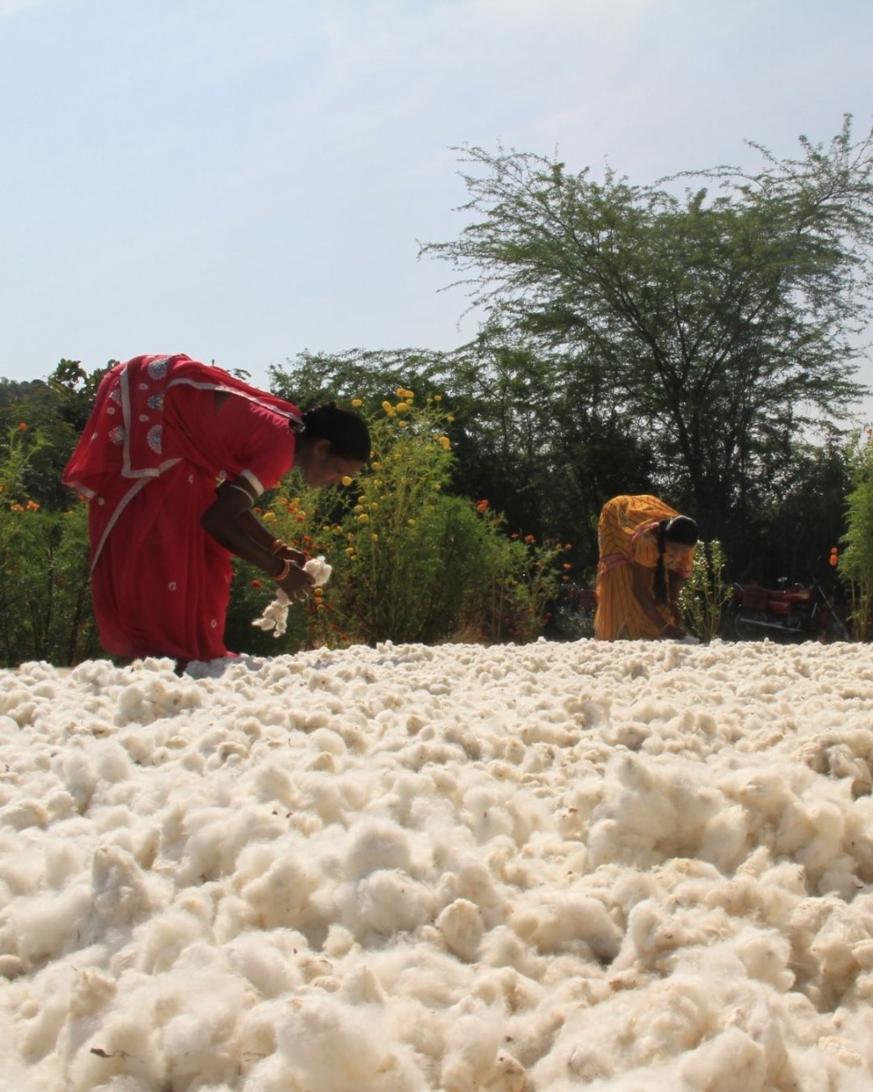 Human Rights Policy — katoenboeren Chetna coöperatie India