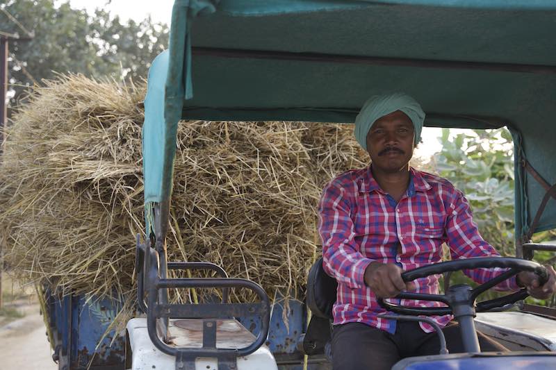 Cotton-fields-other-tractor-man-India-Chetna