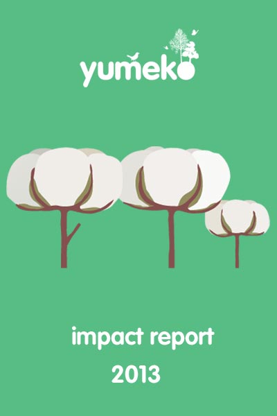 Impact Report 2013