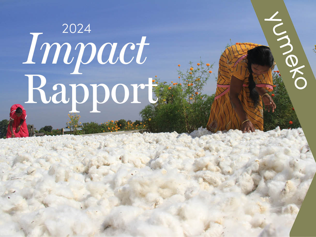 Impact rapport