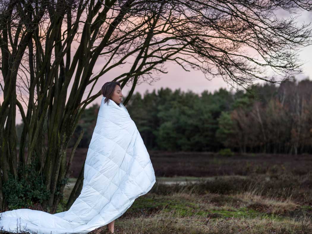 Blog | Yumeko