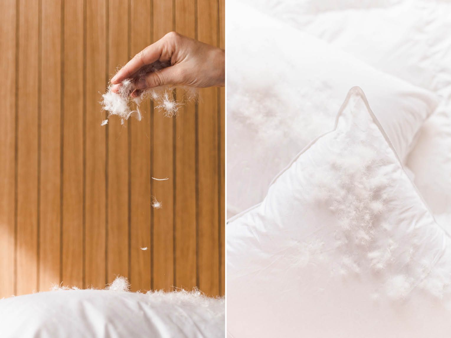 Dekbed ganzendons zomer