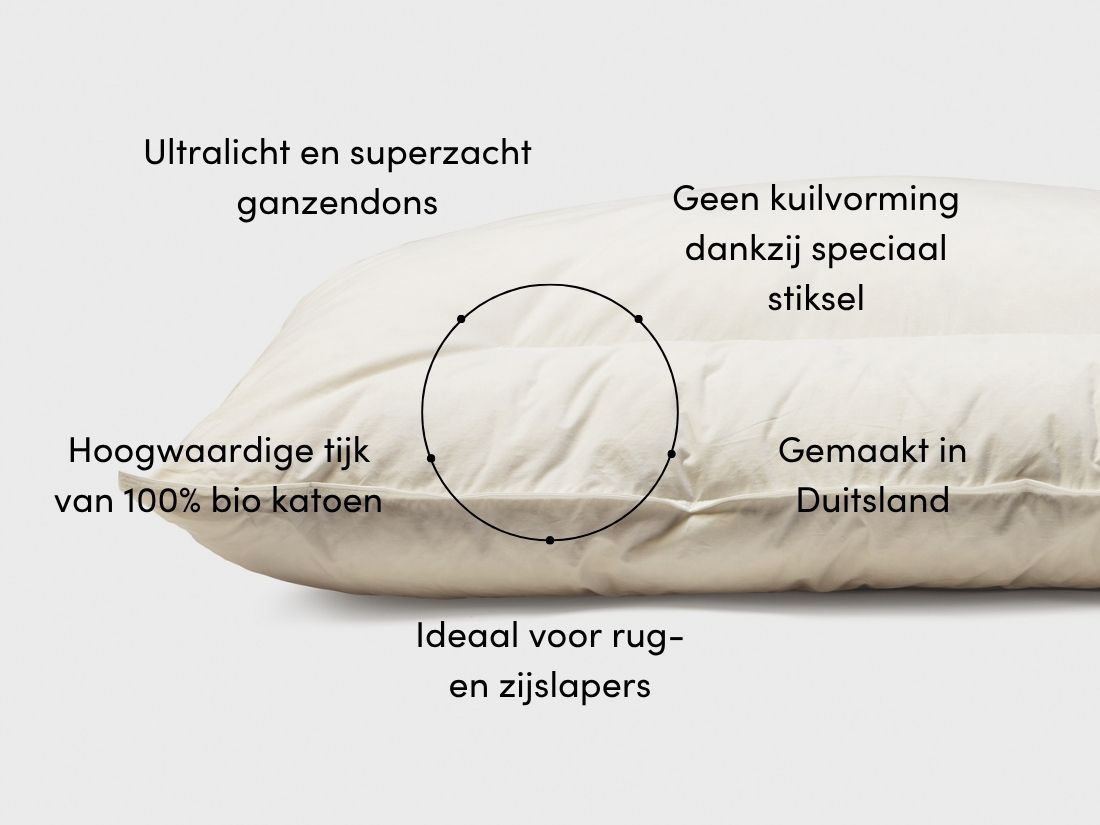 Kussen ganzendons 60x70 medium