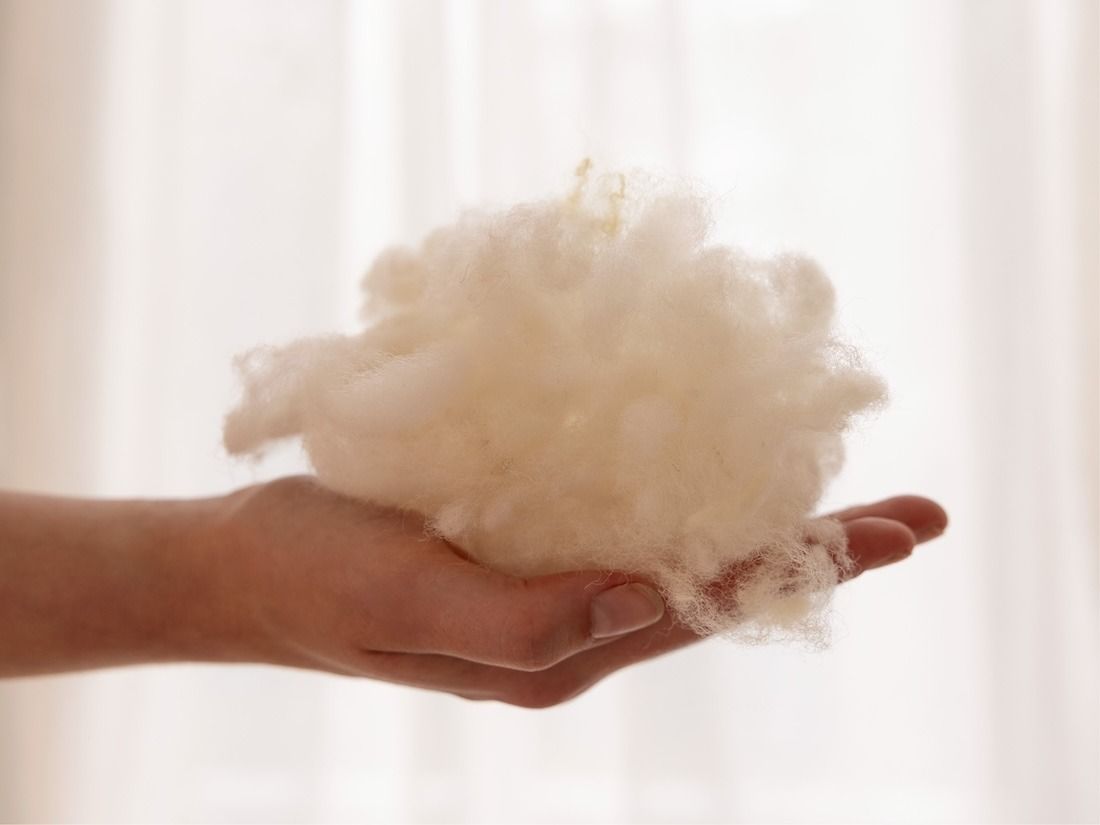 Couette en laine tempérée