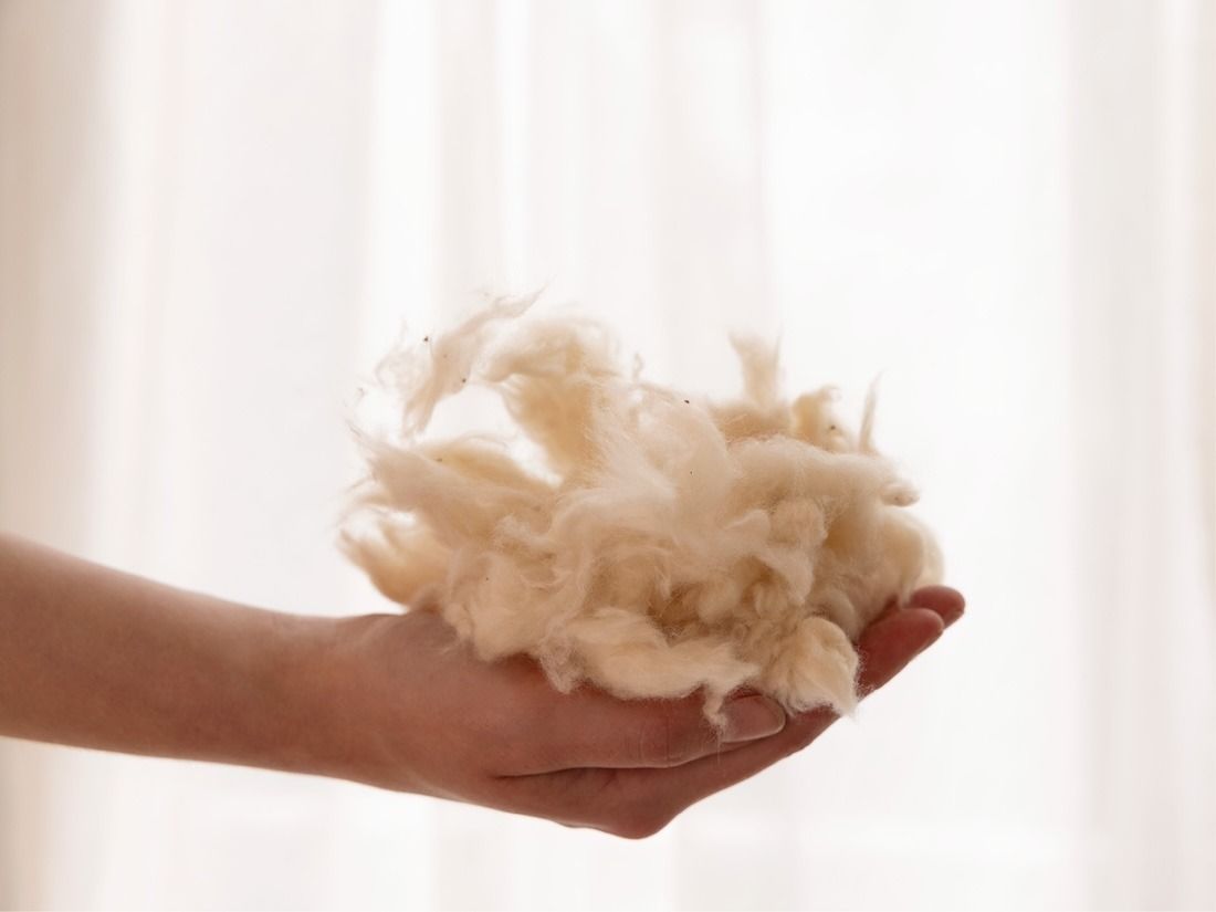 Kussen kapok 50x60 zacht