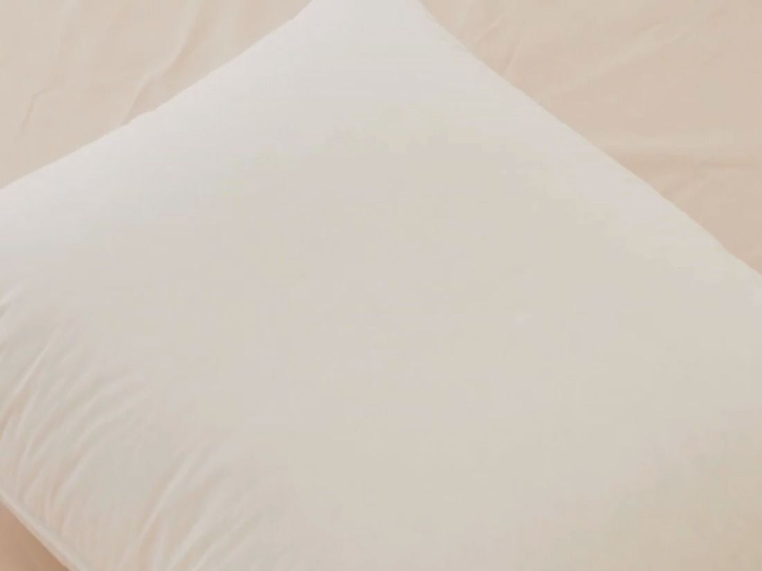 Your browser does not support the <video> tag