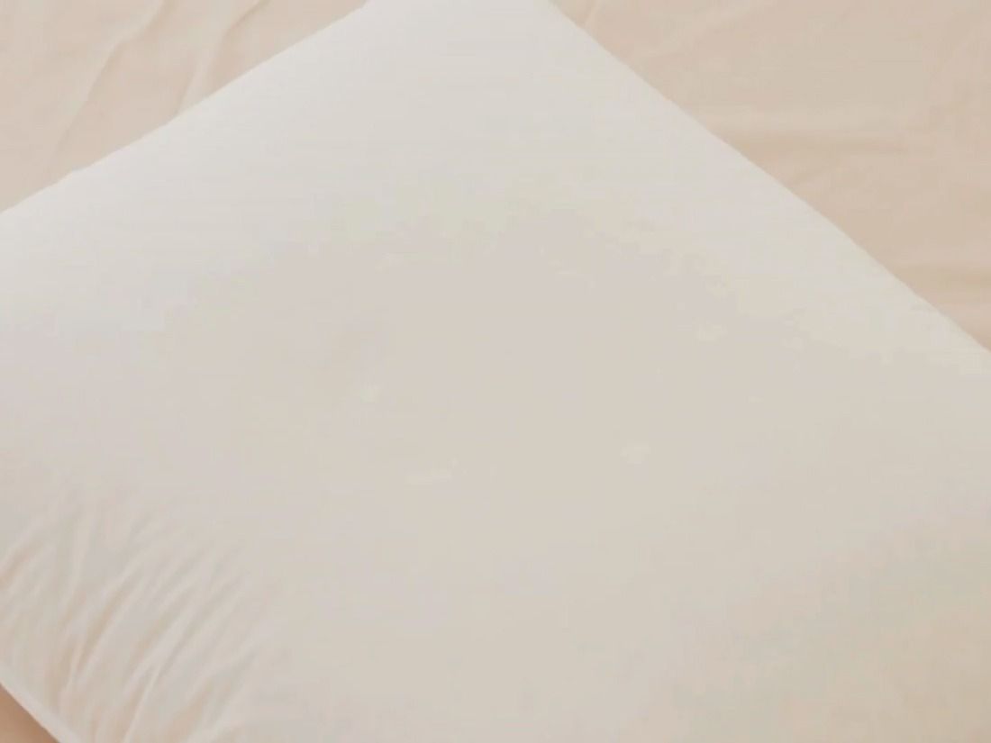 Your browser does not support the <video> tag