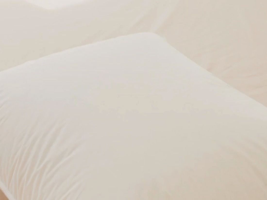 Your browser does not support the <video> tag