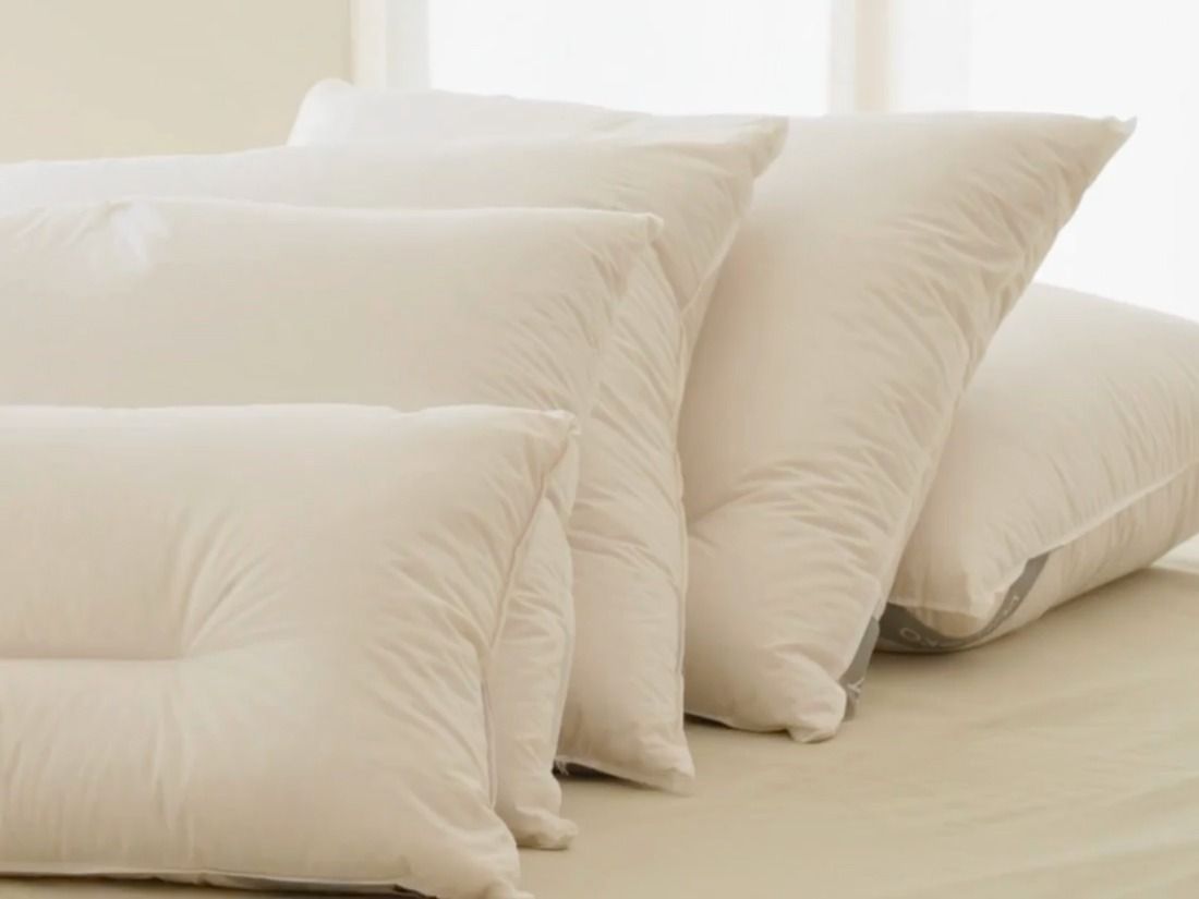 Your browser does not support the <video> tag