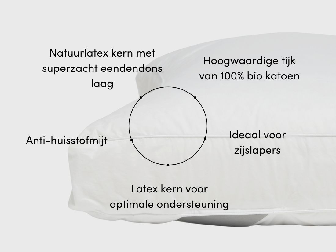 Kussen dons natuurlatex 50x70 stevig