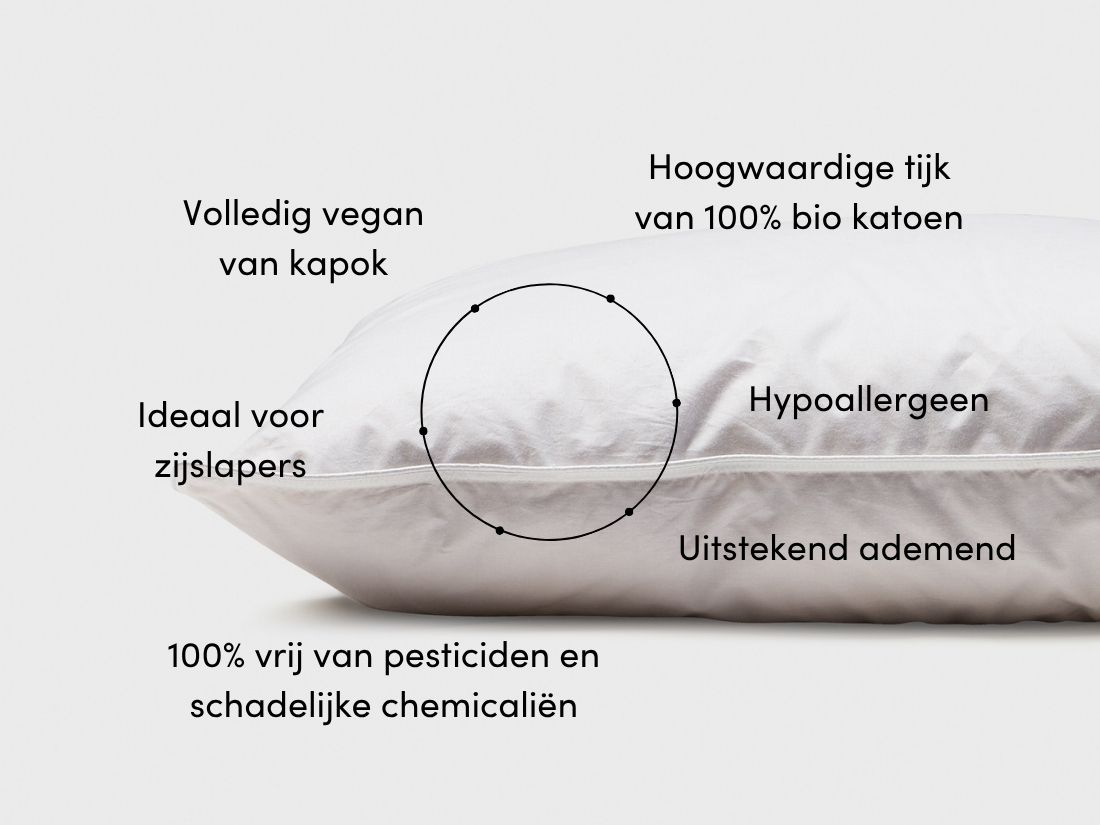 Kussen kapok 60x70 stevig