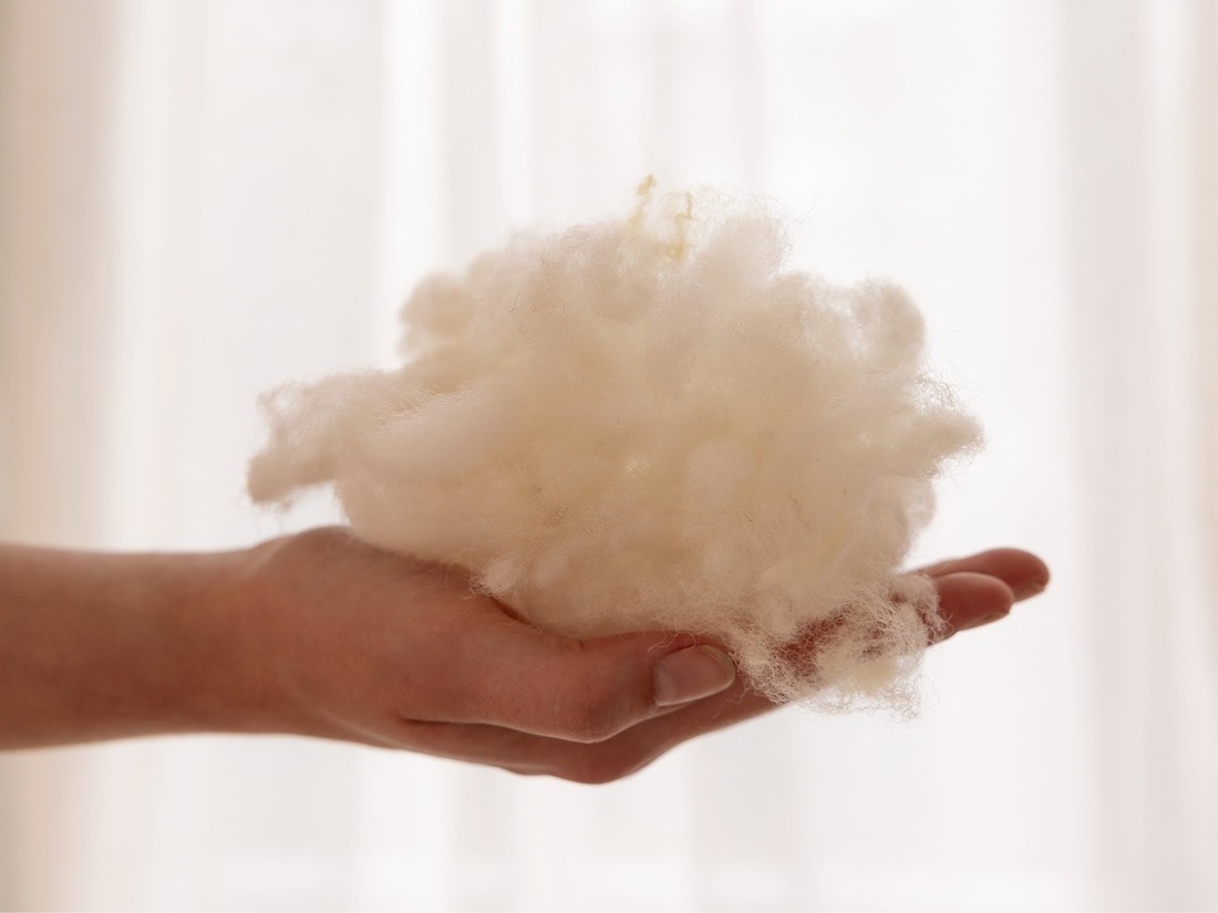 Schurwolle Bettdecke Sommer