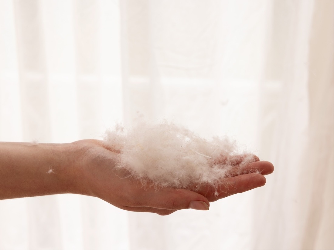 Oreiller en duvet 50x70 medium