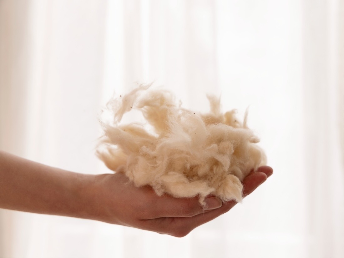 Kissen Kapok 80 x 80 medium