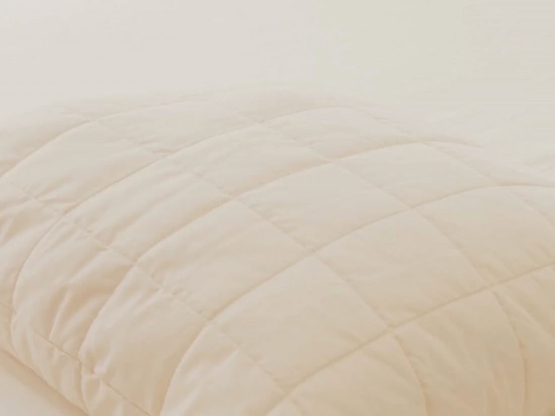 Your browser does not support the <video> tag