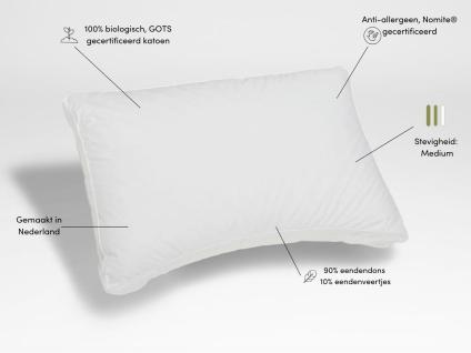 Kussen dons natuurlatex 50x70 medium