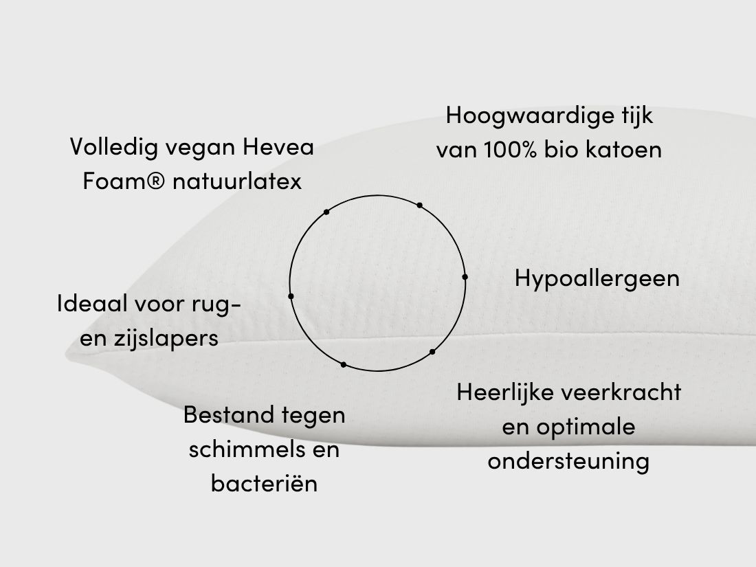 Kussen natuurlatex cloud 40x60x12 zacht