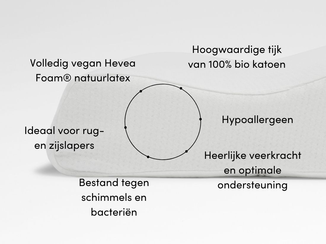 Kussen natuurlatex wave 44x63x11/13 medium