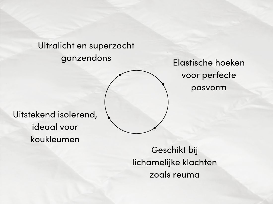 Topdekmatras ganzendons