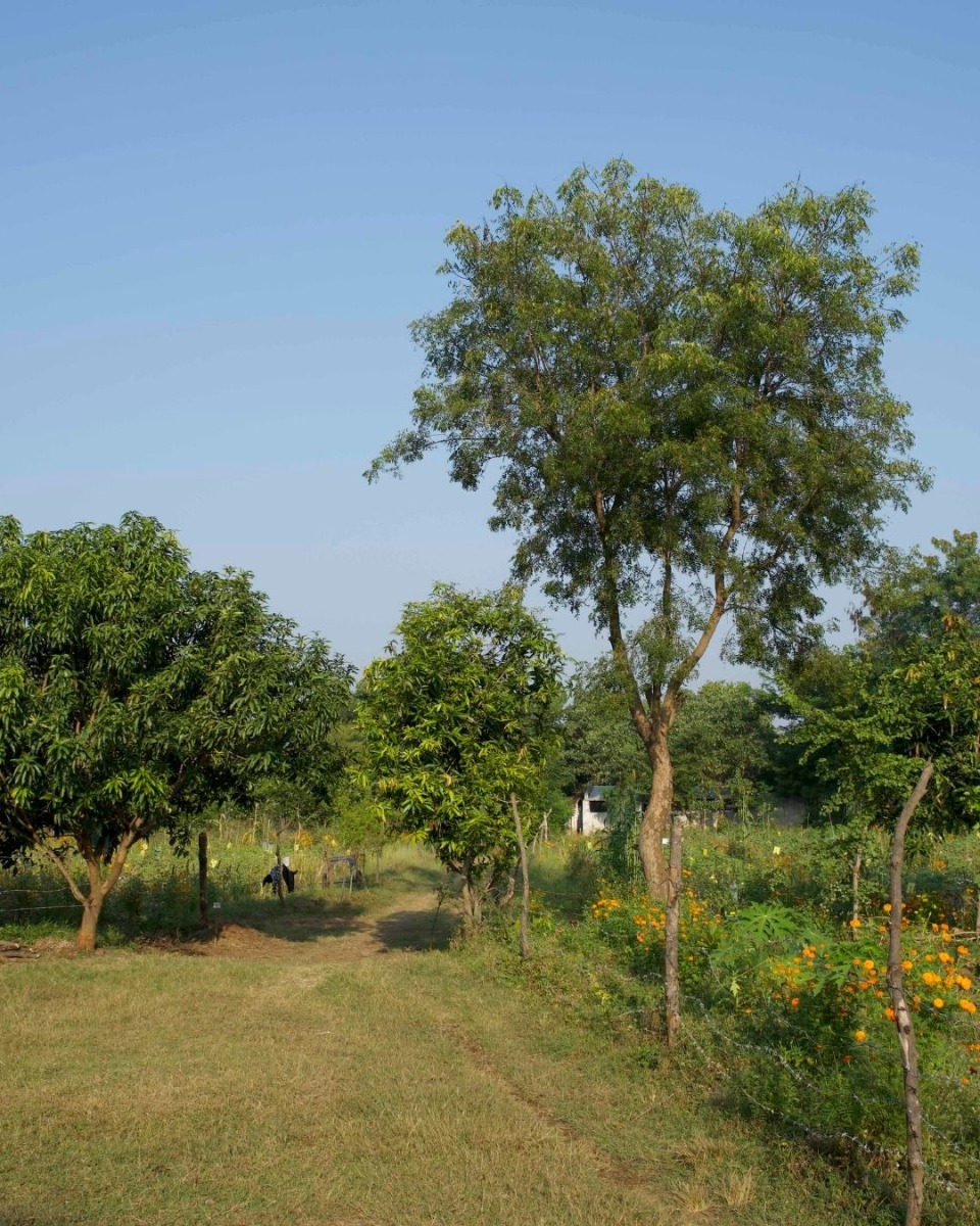 Clean & Green Villages: een revolutie in de katoenketen